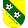 FC Schifflange 95
