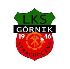 Gornik Strachocina