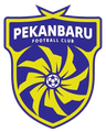 Pekanbaru United