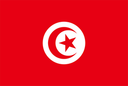 تونس تحت 17