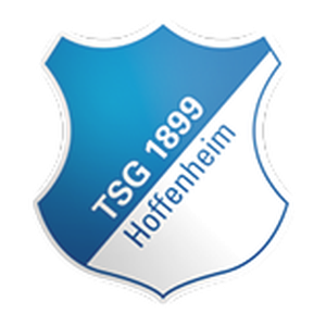 TSG 1899 هوفنهايم