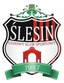 LKS Slesin