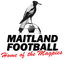 مايتلاند إف سي للسيدات