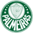 Palmeiras Youth
