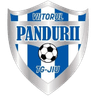 ACS Viitorul Pandurii Targu Jiu