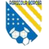 FC Agricola Borcea