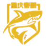 Chongqing Chunlei FC