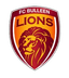 Bulleen Lions U23