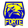 Forte FC Youth