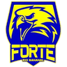 Forte Rio Bananal U20