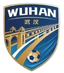 Wuhan Team