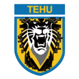 Klub Sepak Bola Nanjing Tehu