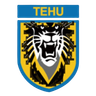 Klub Sepak Bola Nanjing Tehu