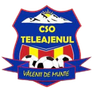 CSO Teleajenul Valeni de Munte