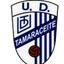 تاماراسيتي