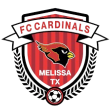 Cardinals Cardinals