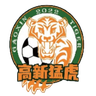 Chongqing Gaoxin Tiger