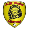 Polisi (Niamey)