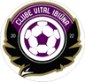Vital Ibiuna SP Juvenil