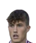 ريكاردو ستيفانيلو