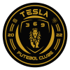 Tesla PA U20