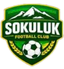 FC Sokuluk