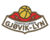 Gjøvik-Lyn