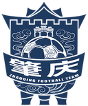 Zhaoqing Team