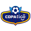 الدوري  البوليفي الممتاز