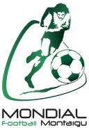 Montaigu Tournament