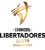 كأس كوبا ليبرتادوريس تحت 20 عام