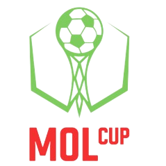 كأس التشيك