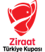كأس تركيا