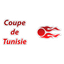 كأس تونس