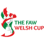 Welsh Cup