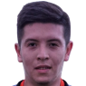 غونزالو ألفيز