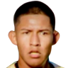 Mario Fernández Cuadiay