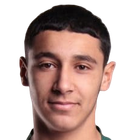 محمد مدفعي
