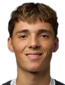 Gian stork