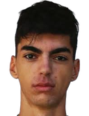 aleks stojakovic
