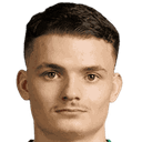 dino salcinovic