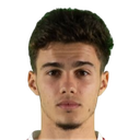 nikola mituljikic