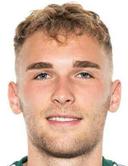 Nico Theisinger