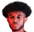 رومال بالمر