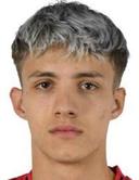 davud arnautovic