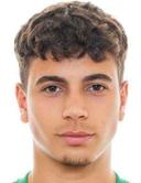 نيكولاس يورغ