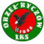 Orzel Ryczow