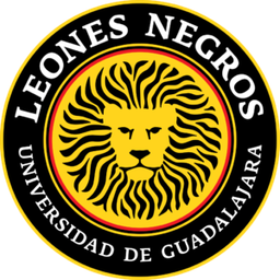 Leones Negros 2