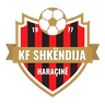 Shkendija Haracine