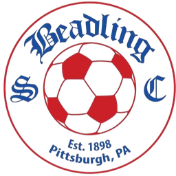 Beadling SC (W)